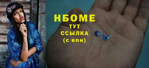 индика Алзамай