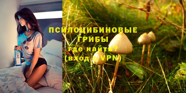 молекула духа Алексин