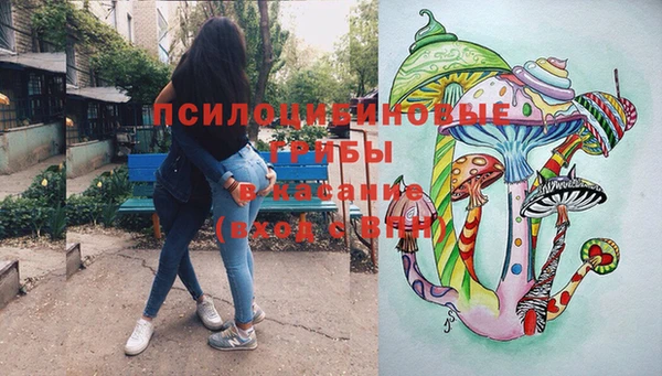 индика Алзамай