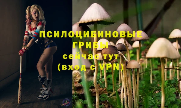 молекула духа Алексин