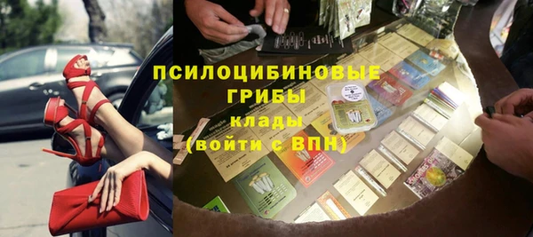 молекула духа Алексин