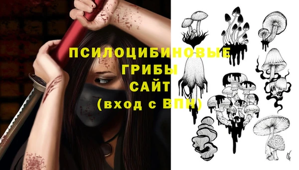индика Алзамай