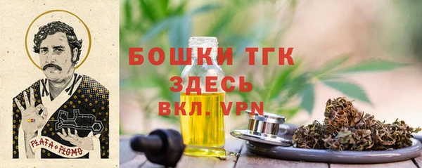 молекула духа Алексин